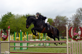 KBIS Insurance Senior British Novice Second Rounds Continue at Dorset Showground
